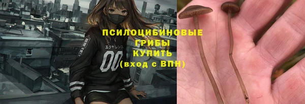 прущий лед Арсеньев