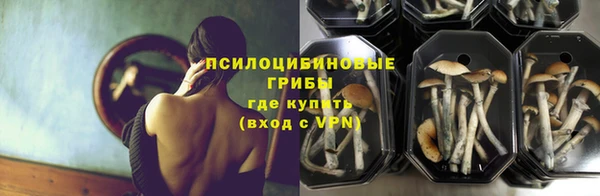 стаф Армянск