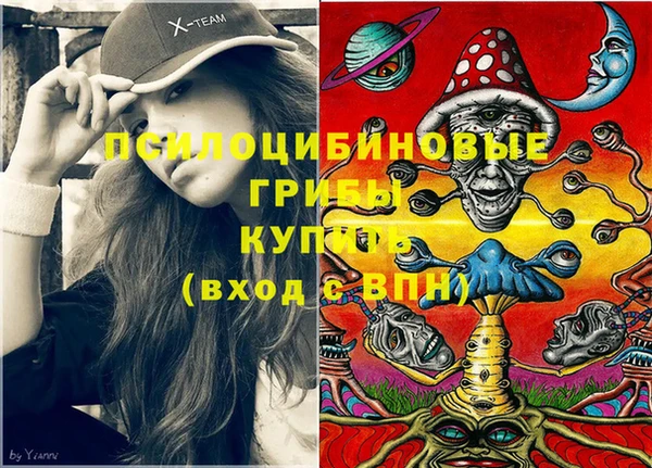 прущий лед Арсеньев