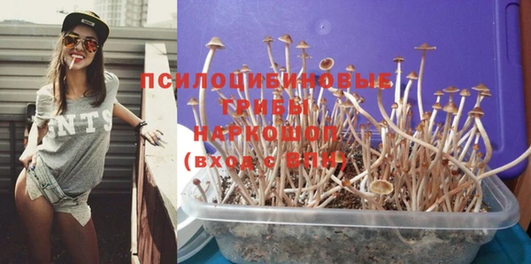 стаф Армянск