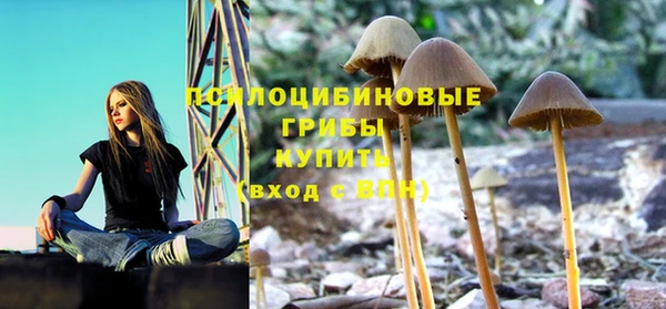 прущий лед Арсеньев