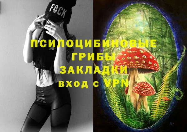 прущий лед Арсеньев