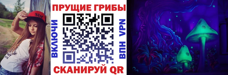 сколько стоит  Меленки  Псилоцибиновые грибы GOLDEN TEACHER 